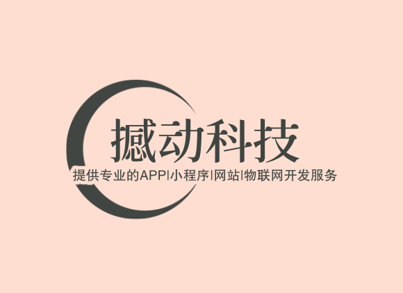 app小程序软件开发-撼动科技