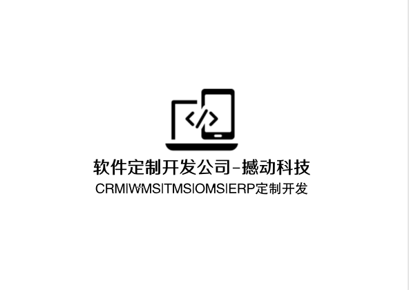 软件定制开发